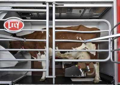 Lely Astronaut A3 Next, a new generation of milking robot